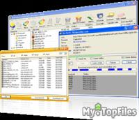 Look at screenshot of Download Accelerator Manager