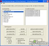 Look at screenshot of Kazaa Download Manager