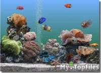 Look at screenshot of Marine Aquarium