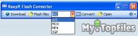 Look at screenshot of KeepV Flash Converter